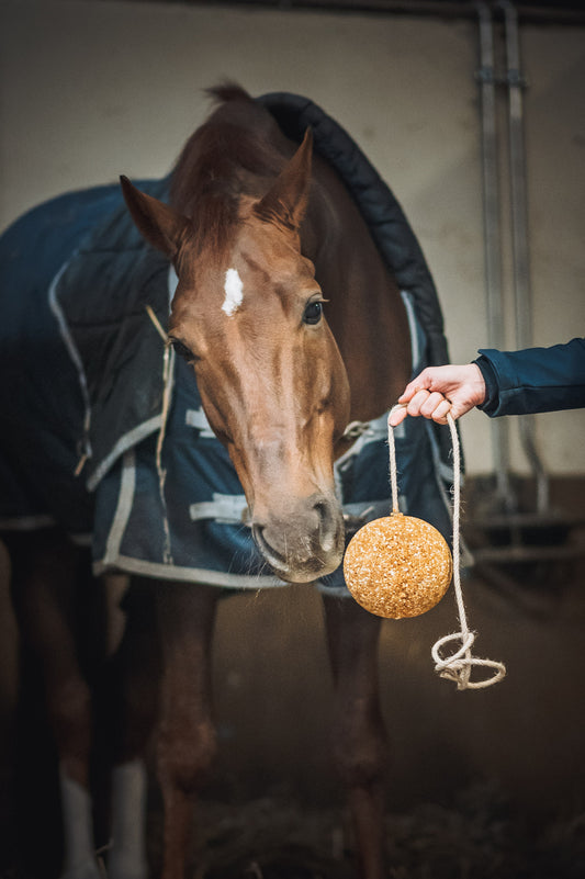 Understanding the Impact of Stress in Horses and the Sweet Ball Solution