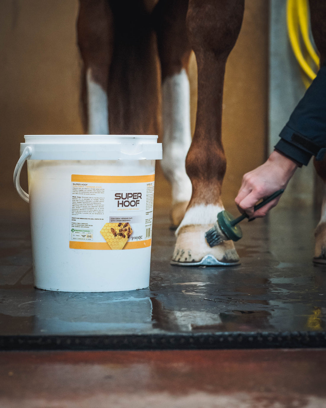 Mastering Hoof Care: Essential Tips for Your Sport Horse