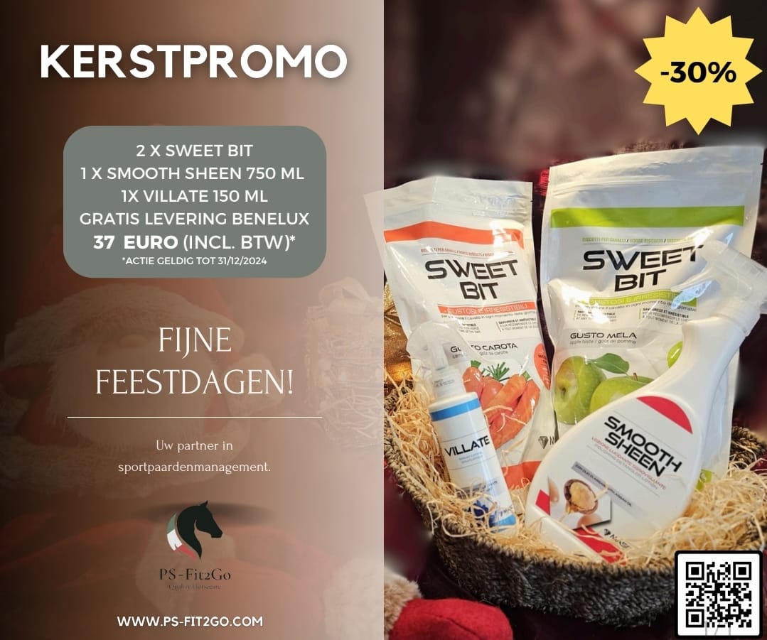 Kerstpromo