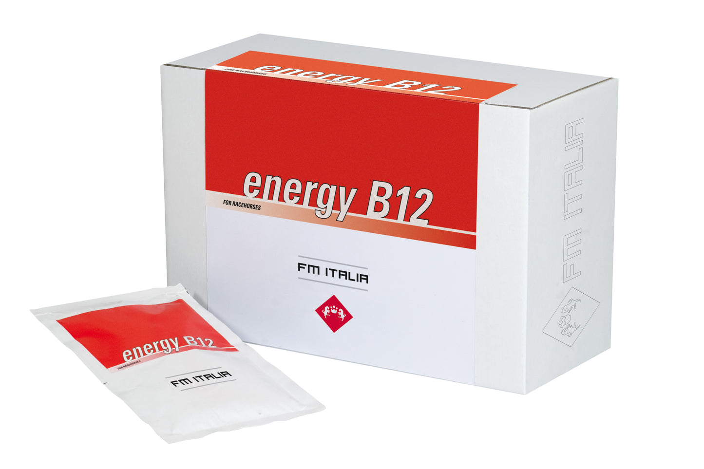 ENERGY B12 | Powder Complementary Feed for Sports Activity Vitamin B12 Needs