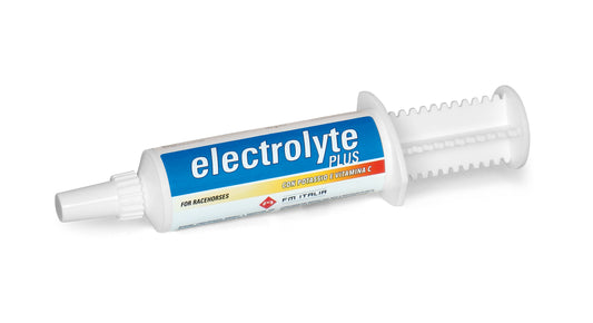 Electrolyte PlusELECTROLYTE PLUS | Oral Paste Complementary Feed for Sweating Horse Electrolyte Compensation